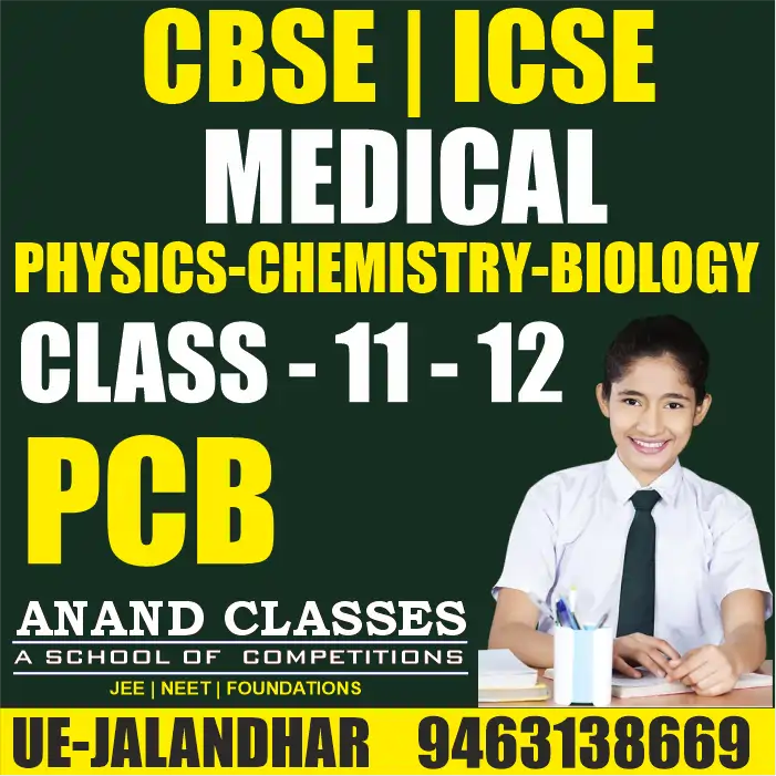 Class 11th & 12th medical (pcb) coaching near me – anand classes, urban estate phase-ii, jalandhar