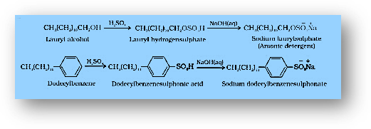 Cleansing agents-soaps, detergents, types, properties, uses-chemistry in everyday life class 12 notes-anand classes The soluble endpoints of the chains have anions. They are sulphonated long chains of hydrocarbons or alcohols with sodium salts. They’re made from long-chain hydrocarbons or alcohols that have been treated with strong sulphuric acid before being neutralized with naoh.