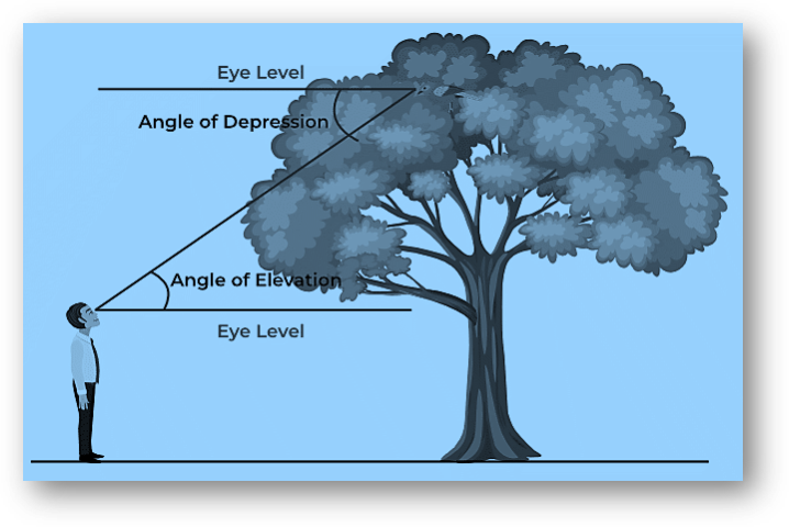 Terminologies of height and distances