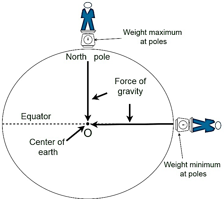 G is the highest on the poles and lowest on the equator.