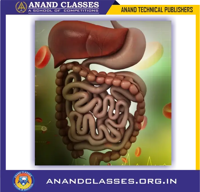 Types of heterotrophic nutrition : saprotrophic, parasitic, holozoic nutrition for class 10 science biology-anand classes Types of heterotrophic nutrition-holozoic nutrition