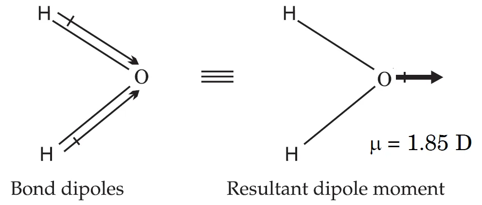 Two o–h dipoles add up and water is polar. Water molecule has a bent structure in which the two o—h bonds are oriented at an angle of 104. 5°. The dipole moment of water is 1. 85 d (or 1. 85 × 3. 335 × 10–30 c m = 6. 17 × 10–30 c m) , which is the resultant of the dipole moments of two o—h bonds. Therefore water is a polar molecule.