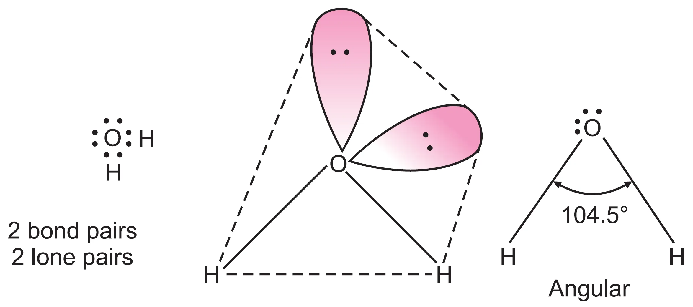Shape of h2o molecule according to vsepr theory ( bent or angular) Shape of h2o molecule ( bent or angular)