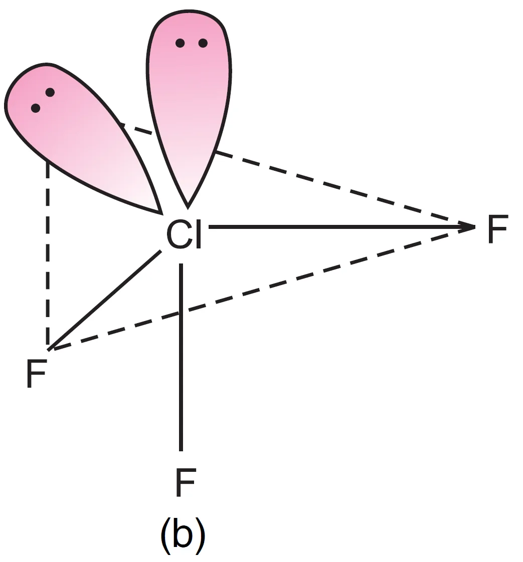 Shape of clf3 molecule in which one lone pair axial, one equatorial Shape of clf3 molecule in which one lone pair axial, one equatorial