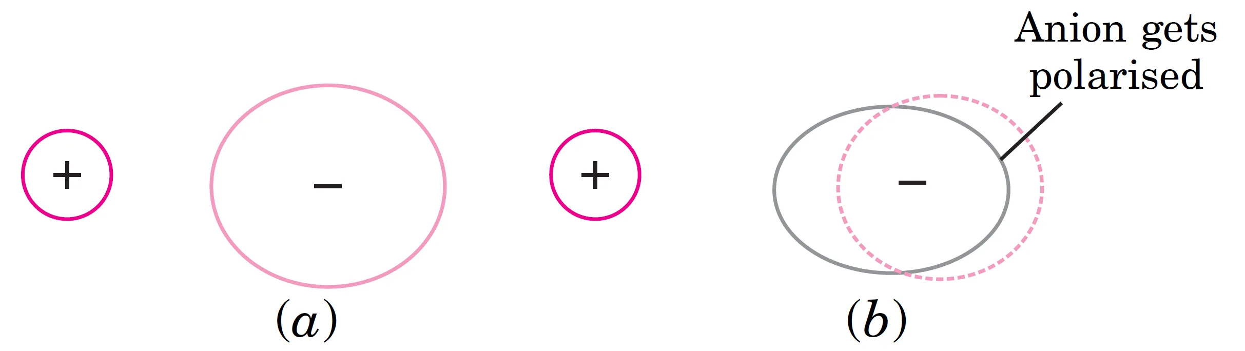 Degree of polarisation The polarisation of an anion by cation. In fig. (a), the two ions are shown without any polarisation, assuming that the bond is completely ionic.. The positive ion polarises the negative ion and
draws electrons towards itself. As a result of
polarisation, there is decrease of positive charge on
the cation and decrease of negative charge on the
anion. This leads to covalent character