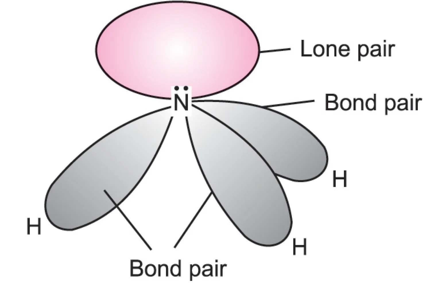 In ammonia, there are three bond pairs and one lone pair. . Lone pair and bond pairs repulsions in nh3 molecule (vsepr theory)