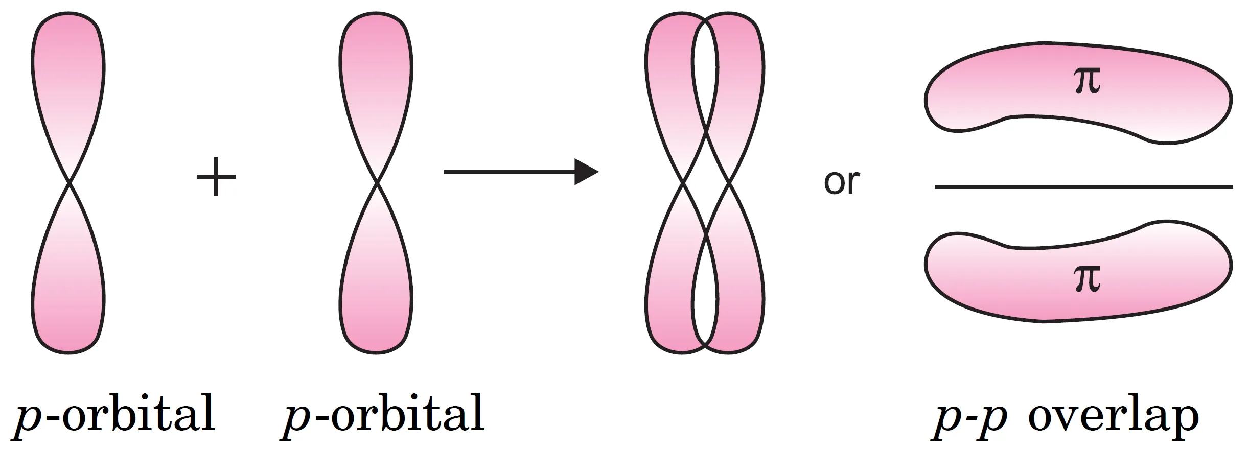 Orbital overlapping (s-s, s-p, p-p) - difference between sigma (σ) & pi (π) bond | mcqs, q&a-anand classes Two half-filled p-orbitals sidewise overlap perpendicular the internuclear axis
