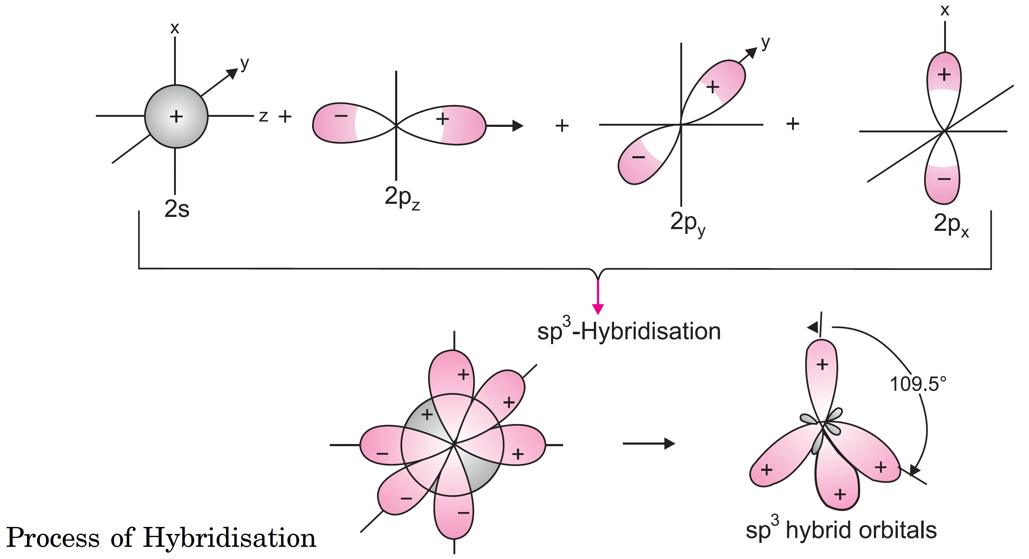 Sp3 hybridisation. Formation of four sp3 hybrid orbitals