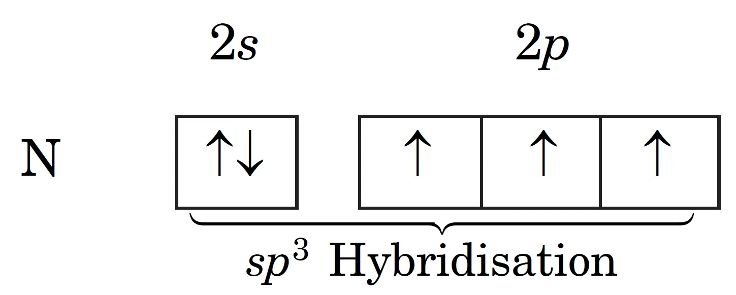 Ammonia (nh3) exhibit sp3 hybridisation