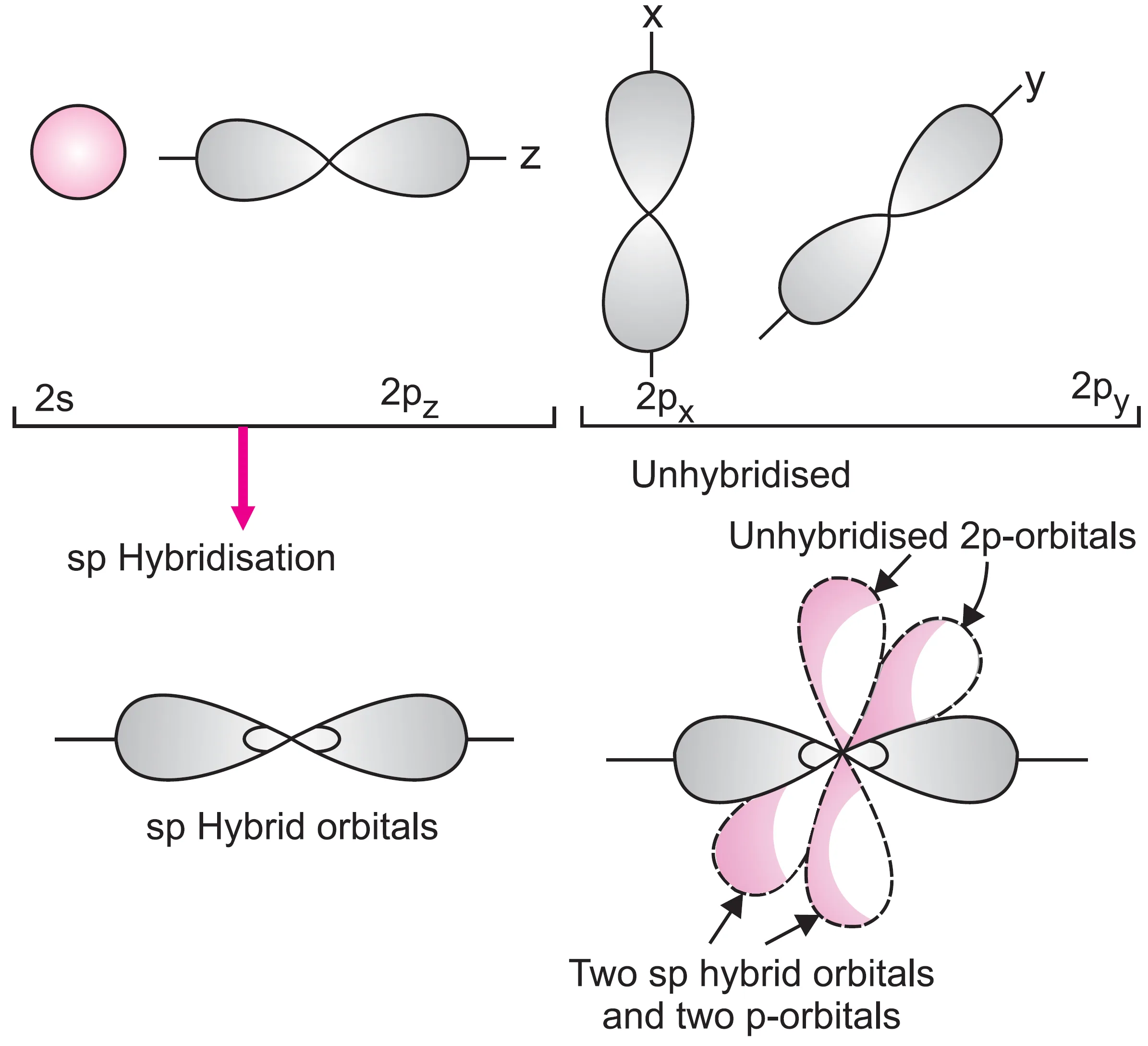 Sp hybridisation of carbon