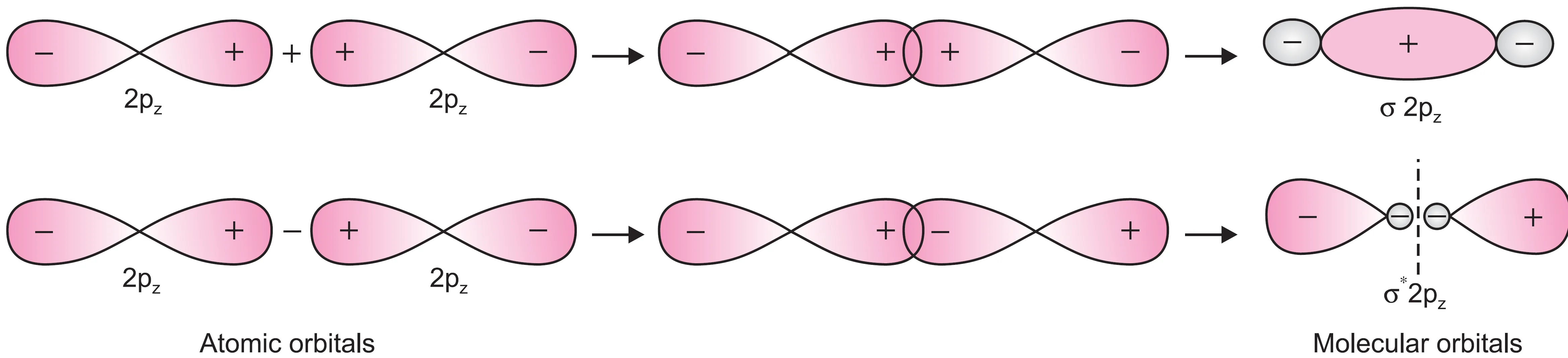 Bonding (σ2pz) and antibonding (σ*2pz) molecular orbitals from 2pz atomic orbitals