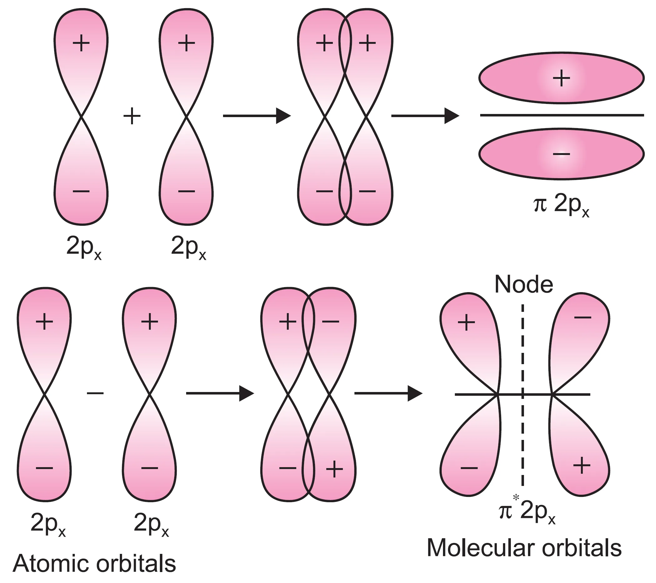 Bonding (π2px) and antibonding (π*2px) molecular orbitals from 2px atomic orbitals.