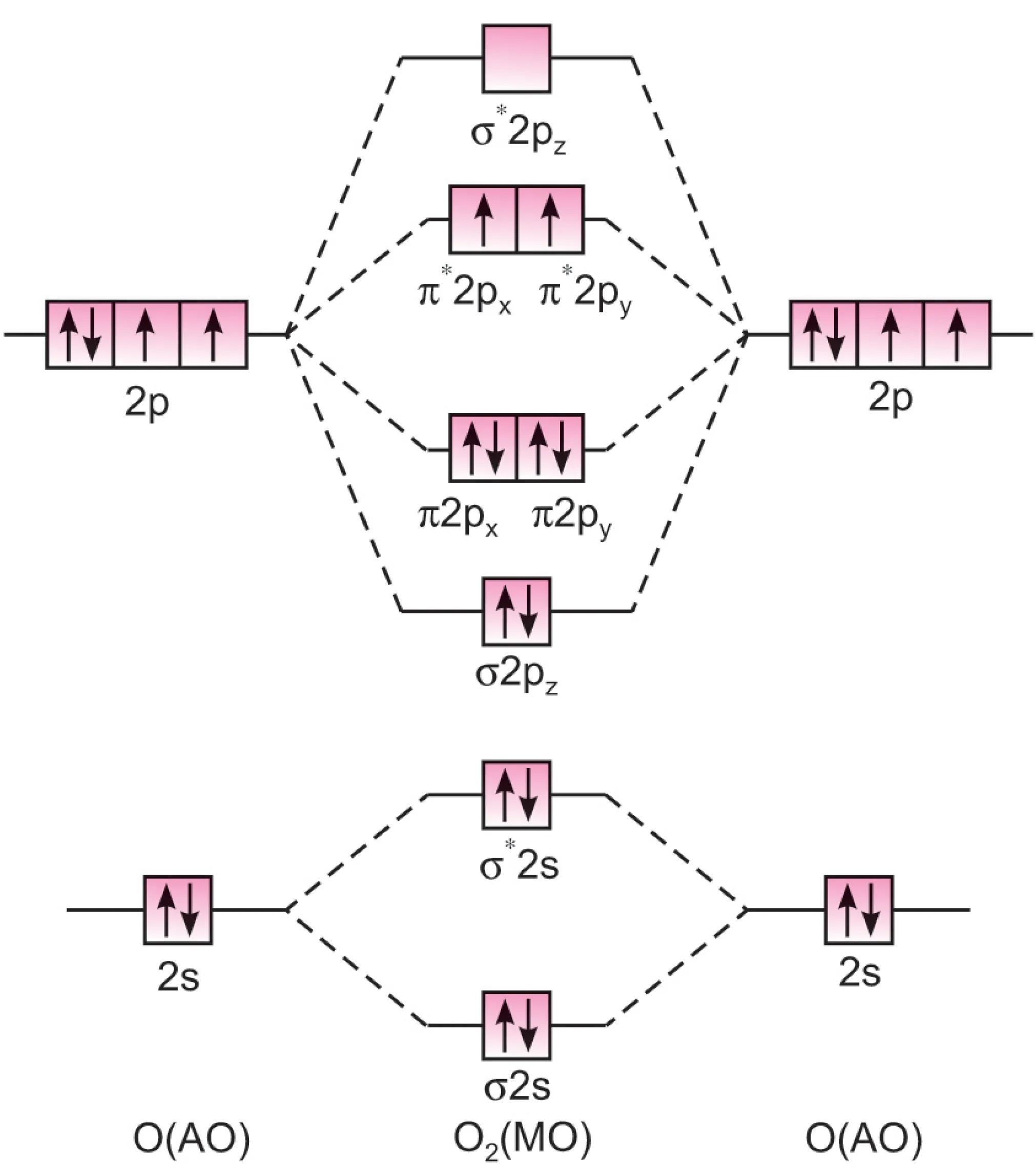 Bond order, stability of n2, n2+, o2, oxide, peroxide, superoxide, why ne2 not exist-anand classes Anand classes explains the bond order and stability of n₂, n₂⁺, o₂, oxide (o₂²⁻), peroxide (o₂²⁻), and superoxide (o₂⁻) ions, along with the reason why ne₂ molecule does not exist, based on the molecular orbital theory (mot). Students will learn how the distribution of bonding and antibonding electrons in molecular orbitals affects the bond order, stability, and magnetic character of these diatomic molecules and ions. Detailed energy level diagrams, electronic configurations, and bond order calculations are included to strengthen conceptual clarity. This topic is crucial for class 11, class 12, jee, and neet chemistry preparation and comes with solved examples, mcqs, q&a, assertion reason, and case study questions. Click the print button to download study material and notes.