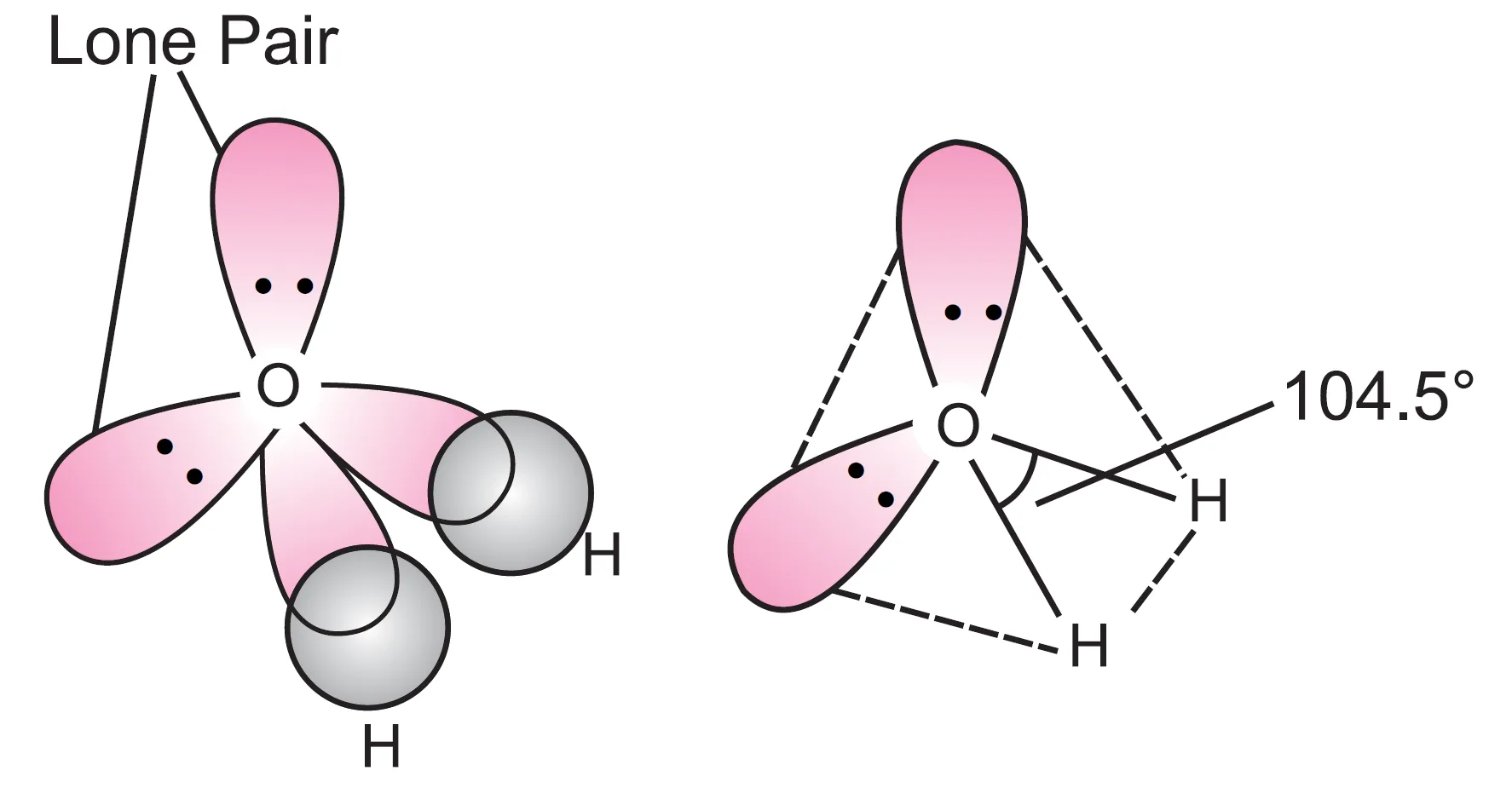 V–shaped or angular shape of water molecule. Water (h2o) exhibit sp3 hybridisation