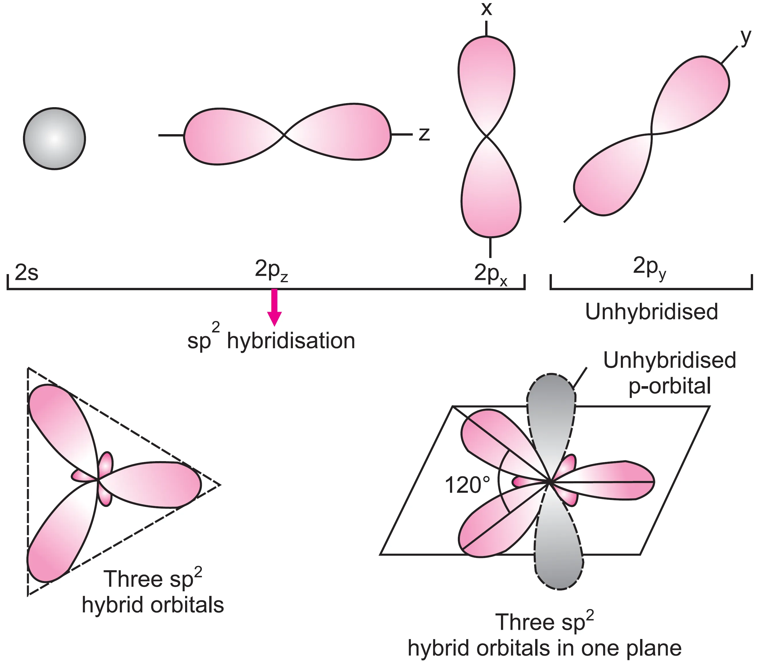 Sp2 hybridisation occur in carbon